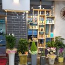 엠에스리테일 이미지