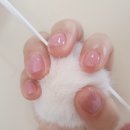 명륜2동 행정복지센터 1층 네이버블로그