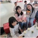 화랑합기도 특공무술 이미지