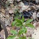 간판없는식당 이미지