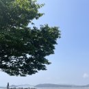 민베스트엠클리프