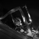 양정 어린이공원 이미지