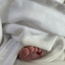 (합)광명택시 | 38주 3일차 초산 자연분만 생생후기