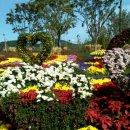 모텔정원 이미지