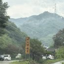 양평ㅣ계곡과 수영장이 있는 '계곡의아침' 양평펜션 애견 동반 후기