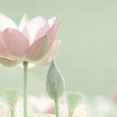 강진군 다산박물관 이미지