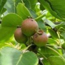 (주)나무그룹 이미지