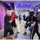 세븐복싱 이미지