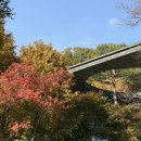 주차29 | 서울근교 곤지암 화담숲 단풍축제 10/29 방문후기 단풍현황 주차 화담숲예매 취소표 현장구매