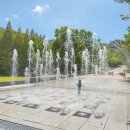 대청공원 놀이터 이미지