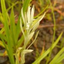 서곡초등학교 이미지