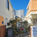 하이커피 이미지