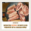 고산축산 | 태전동 맛집 미진축산 경기광주고산점 솔직 후기｜커플세트로 즐기는 생삼겹살·이베리코 꽃목살 한 상