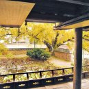 영양2발전소 이미지