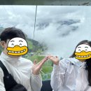스위스 피르스트 액티비티 트로티바이크 완전 정복 가격부터 꿀팁까지!