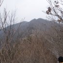 대구상사 이미지