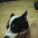 대우아파트 이미지