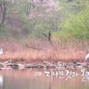 모멘트비