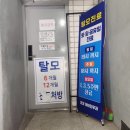 코코이비인후과의원 이미지