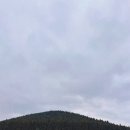 바당꽃 | 제주올패스코스로 좋은 제주하늘바당ATV 체험 내돈내산후기