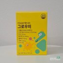 쌍둥이하이퍼 | 편식 아이 영양 보충템, 하이퍼브레인 그로우미 키즈오메가3 후기