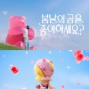 배스킨라빈스 이미지