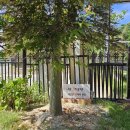 스테이포브 이미지