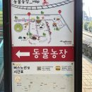 마제마을회관 | 맛집 추천, 흑돼지 맛집 추천, 관광지 방문 후기 (영락 마을회관 국수, 리치망고,메이즈랜드,섭섭이네...