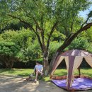 매네미 민박 이미지