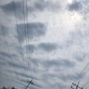 평화수도상사