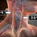도리도리 이미지