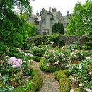 장미정원 이미지