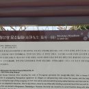 김정선생묘소일원 | 대전 동구 신하동 김정선생 묘소일원 벚꽃 봄꽃