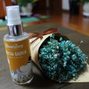 바디블룸(BODY BLOOM) 이미지