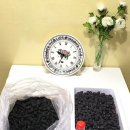 평창&amp;봉평 나들이♡복분자&amp;오디 농촌체험 후기