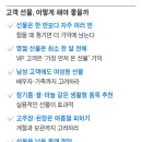 눈비 조선일보