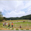 파란하늘목장 이미지