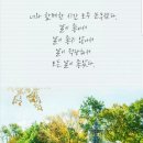 안녕도깨비 이미지