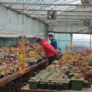 의인농장 이미지