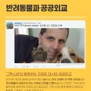 냥냥이세상 이미지