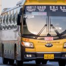 노일초교-1 이미지