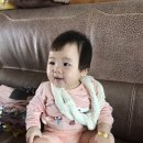 [쌍둥이 육아] 꽁자매 돌잔치날 이야기 - 안산마이어스, 마리에소니 돌드레스, 헬로우밤비스튜디오 스냅