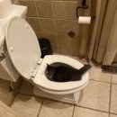 청주항도외과의원 이미지