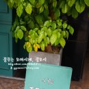트릿츠 이미지