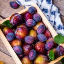 스마트 농산물 유통과 마케팅 실무 | 무자본 창업의 시작! 농수산물위탁판매업 등록절차부터 소싱 방법과 판매처 정리