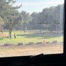 덕수목장 이미지