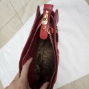 Ferragamo 클러치 팔아요:) $300불 이미지