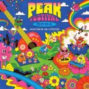 피크 페스티벌 후기, 더운 여름 청량한 음악을!