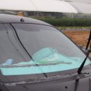 광은카센타 | 🚗[고양 출장썬팅] 믿기 힘든 변화! 기아 뉴모닝, 단 1시간 만에 전면썬팅으로 여름 대비 완료!