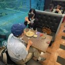 청맥호프